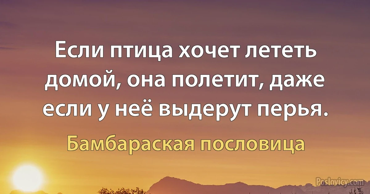 Если птица хочет лететь домой, она полетит, даже если у неё выдерут перья. (Бамбараская пословица)