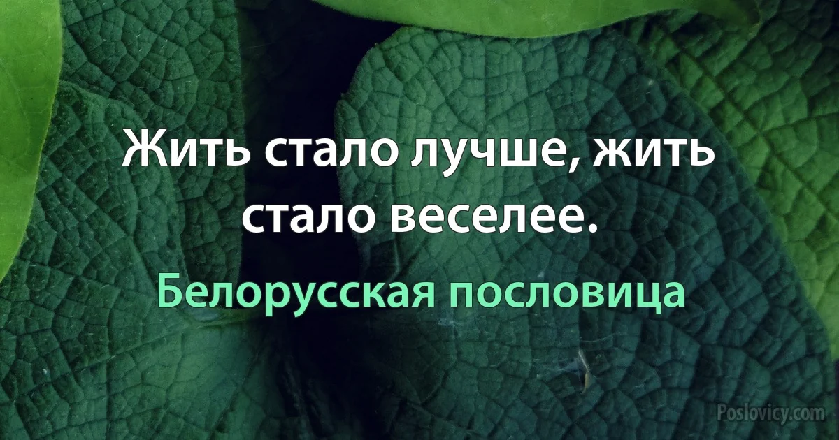 Жить стало лучше, жить стало веселее. (Белорусская пословица)