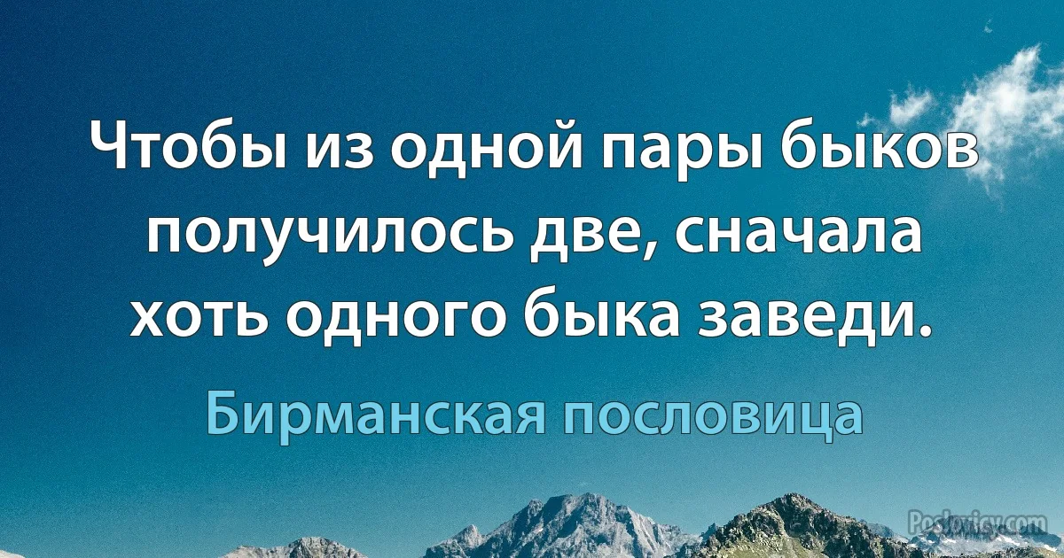 Чтобы из одной пары быков получилось две, сначала хоть одного быка заведи. (Бирманская пословица)