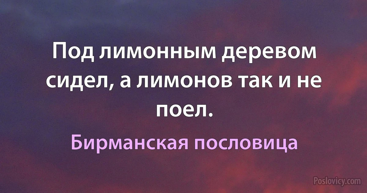 Под лимонным деревом сидел, а лимонов так и не поел. (Бирманская пословица)