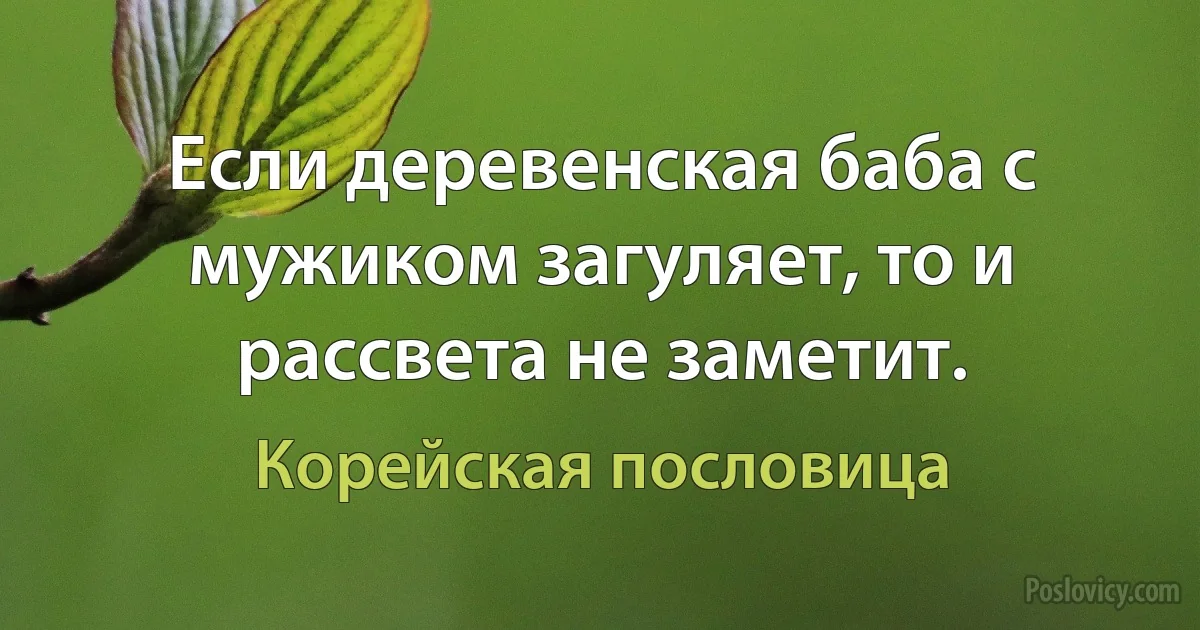 Если деревенская баба с мужиком загуляет, то и рассвета не заметит. (Корейская пословица)