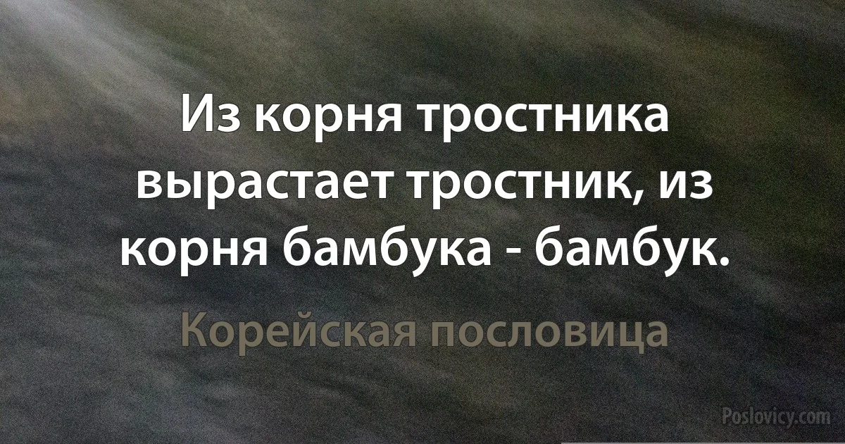 Из корня тростника вырастает тростник, из корня бамбука - бамбук. (Корейская пословица)