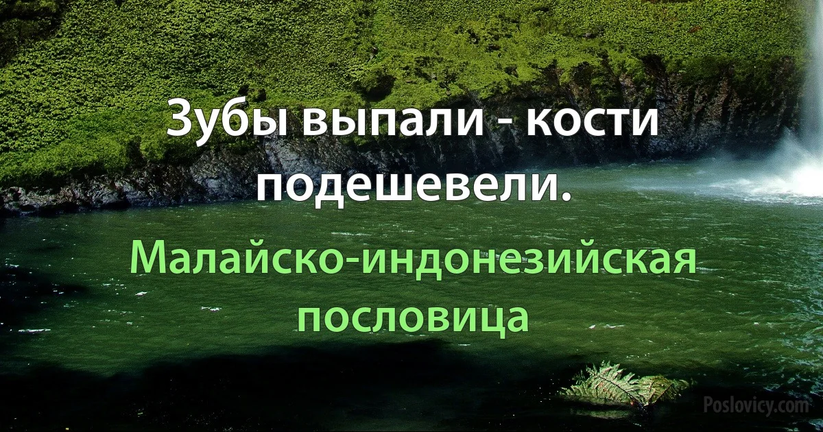 Зубы выпали - кости подешевели. (Малайско-индонезийская пословица)