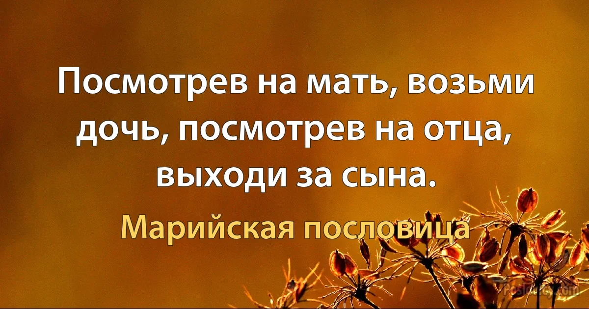 Посмотрев на мать, возьми дочь, посмотрев на отца, выходи за сына. (Марийская пословица)