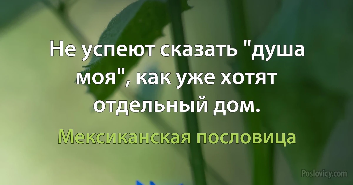 Не успеют сказать "душа моя", как уже хотят отдельный дом. (Мексиканская пословица)