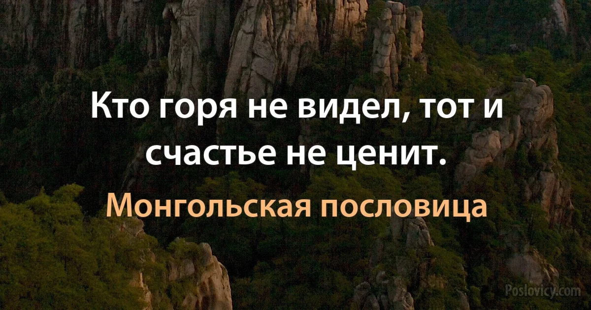 Кто горя не видел, тот и счастье не ценит. (Монгольская пословица)