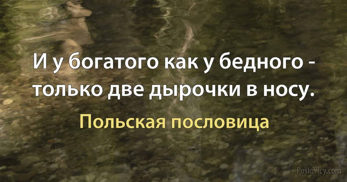 И у богатого как у бедного - только две дырочки в носу. (Польская пословица)