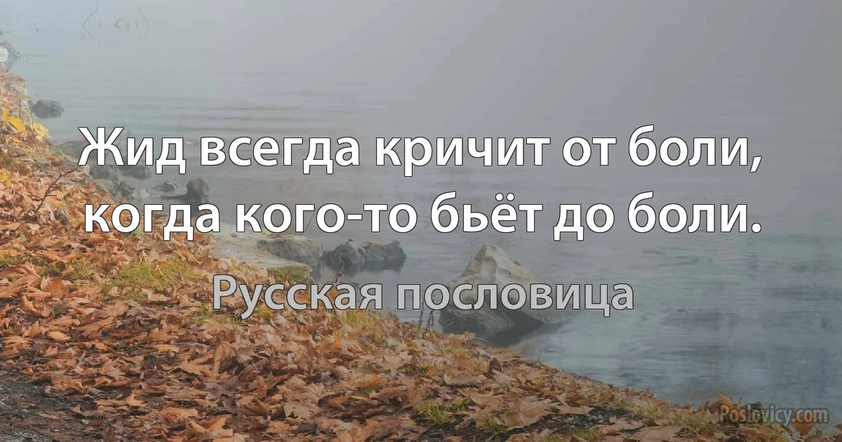 Жид всегда кричит от боли, когда кого-то бьёт до боли. (Русская пословица)