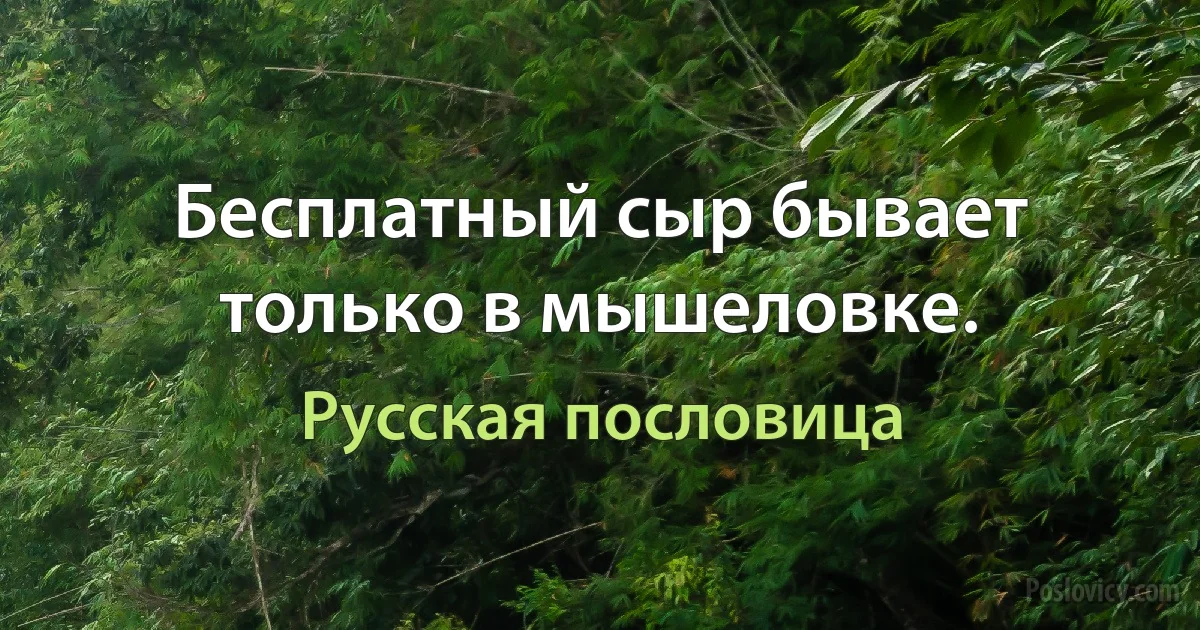 Бесплатный сыр бывает только в мышеловке. (Русская пословица)