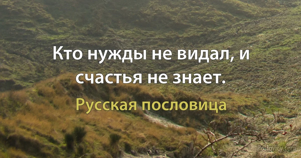 Кто нужды не видал, и счастья не знает. (Русская пословица)