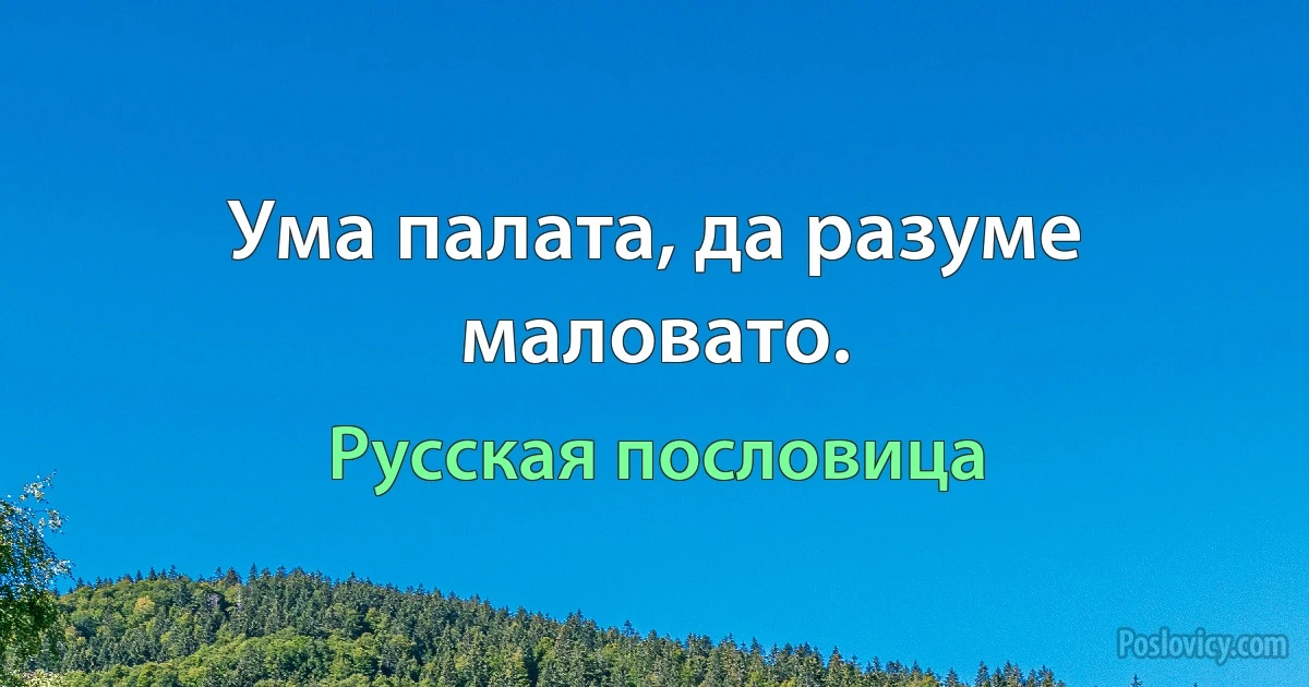 Ума палата, да разуме маловато. (Русская пословица)