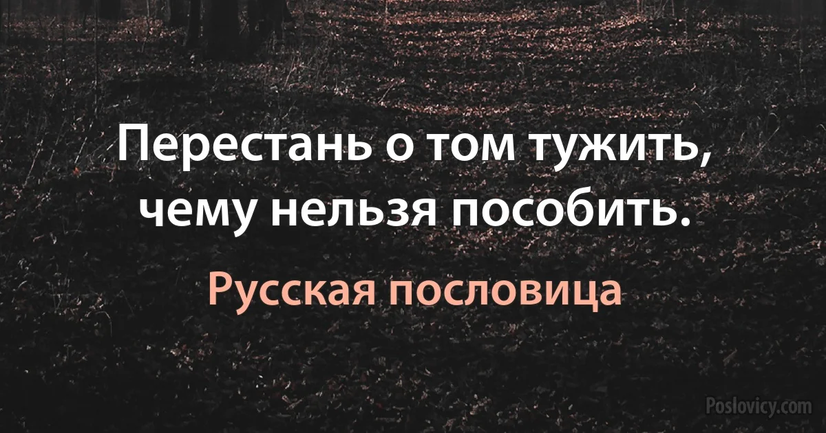 Перестань о том тужить, чему нельзя пособить. (Русская пословица)