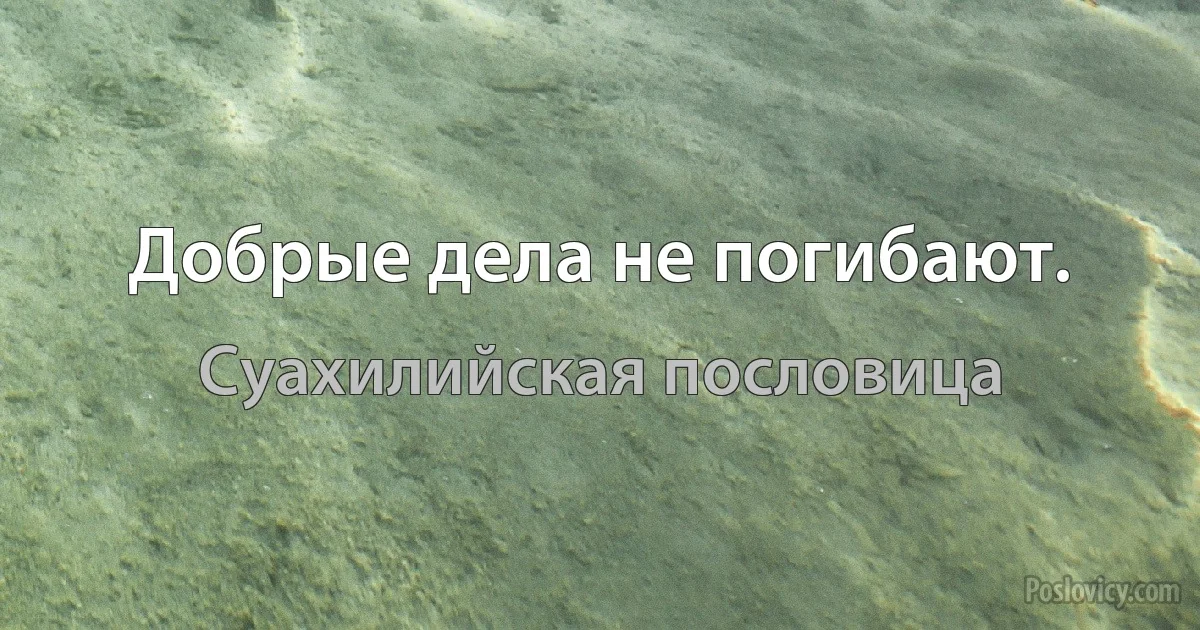 Добрые дела не погибают. (Суахилийская пословица)