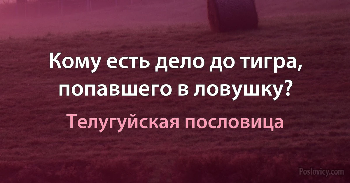 Кому есть дело до тигра, попавшего в ловушку? (Телугуйская пословица)