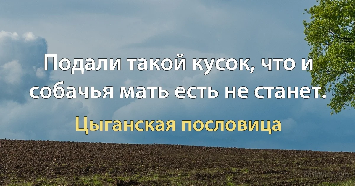 Подали такой кусок, что и собачья мать есть не станет. (Цыганская пословица)