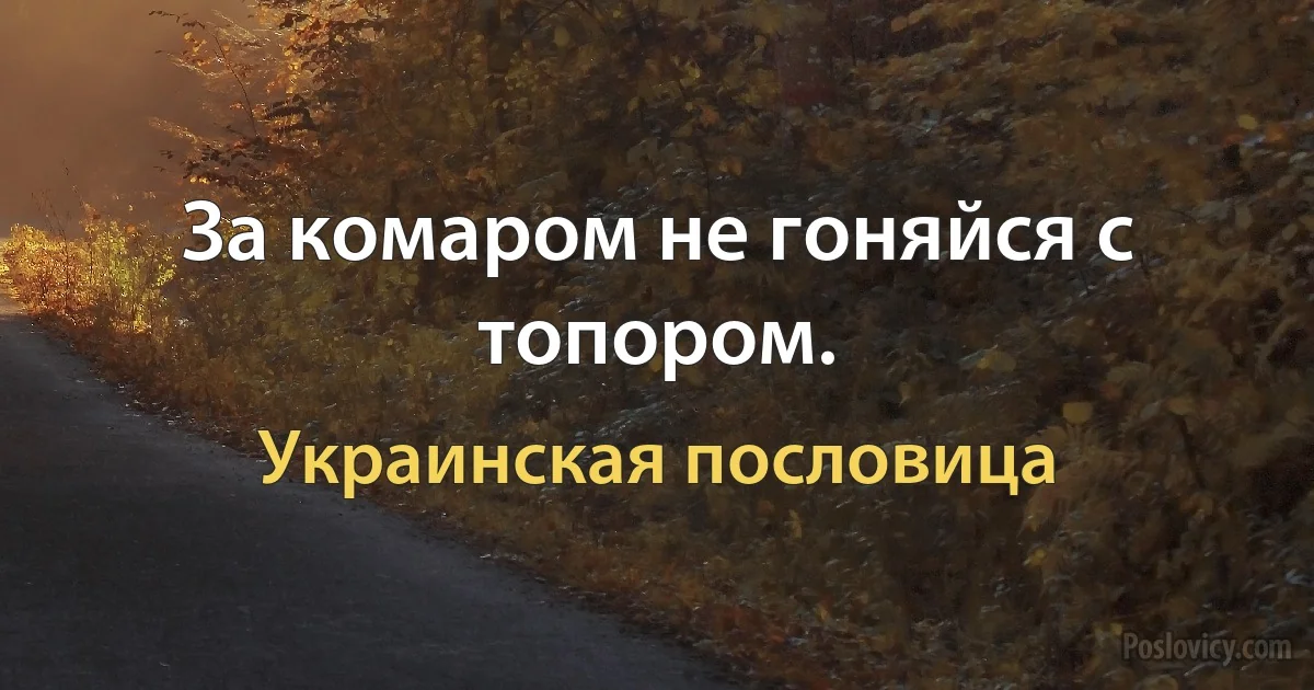 За комаром не гоняйся с топором. (Украинская пословица)