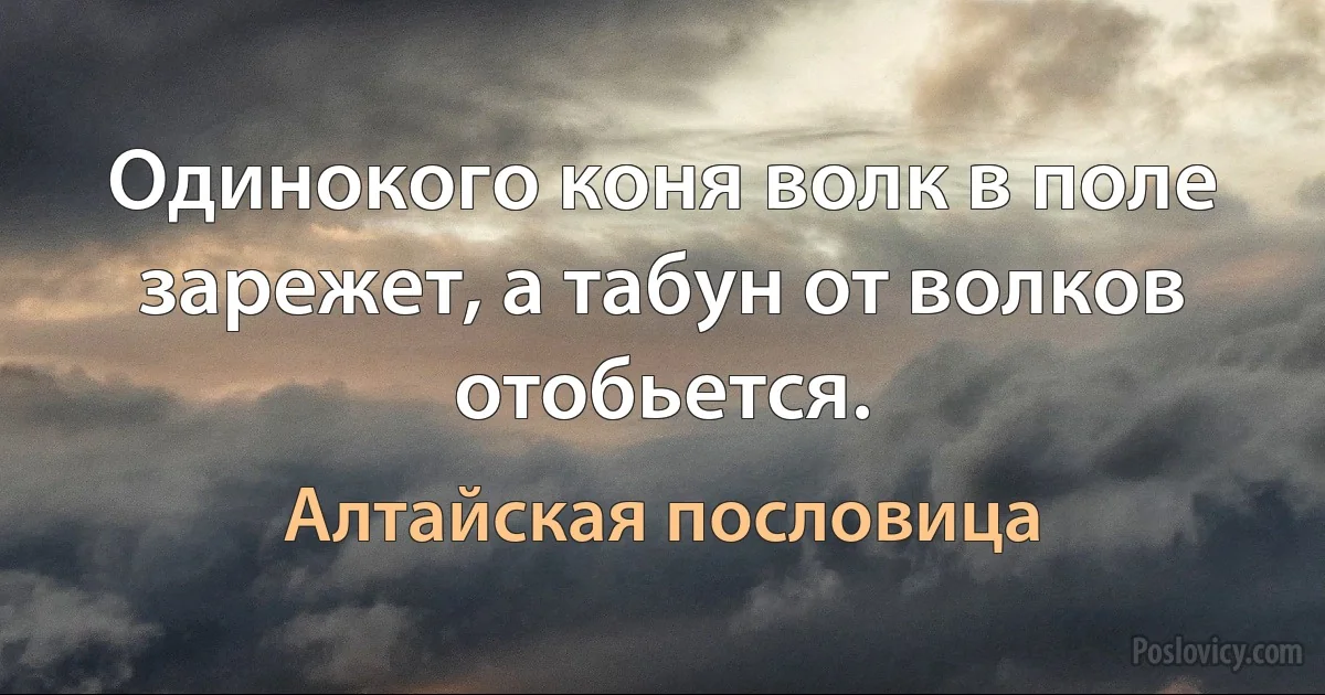 Одинокого коня волк в поле зарежет, а табун от волков отобьется. (Алтайская пословица)