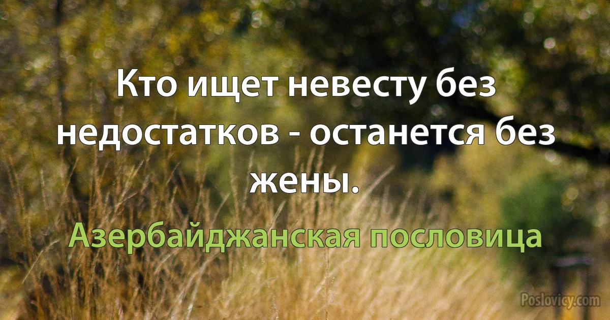 Кто ищет невесту без недостатков - останется без жены. (Азербайджанская пословица)