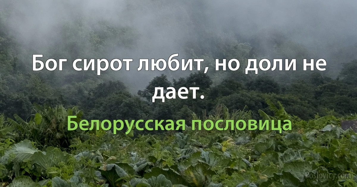 Бог сирот любит, но доли не дает. (Белорусская пословица)