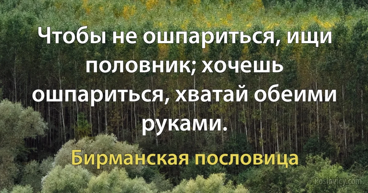 Чтобы не ошпариться, ищи половник; хочешь ошпариться, хватай обеими руками. (Бирманская пословица)