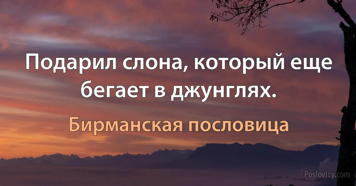 Подарил слона, который еще бегает в джунглях. (Бирманская пословица)