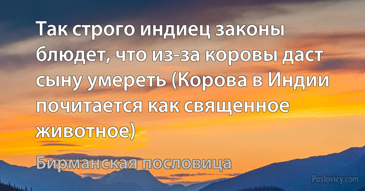 Так строго индиец законы блюдет, что из-за коровы даст сыну умереть (Корова в Индии почитается как священное животное) (Бирманская пословица)