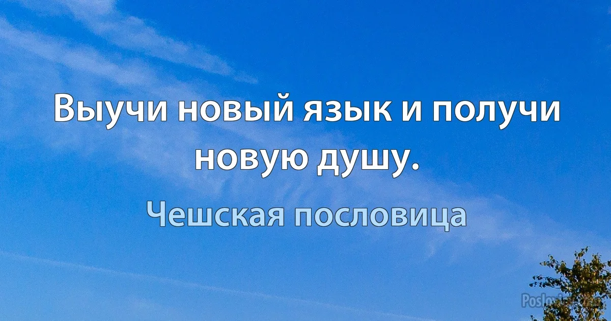 Выучи новый язык и получи новую душу. (Чешская пословица)