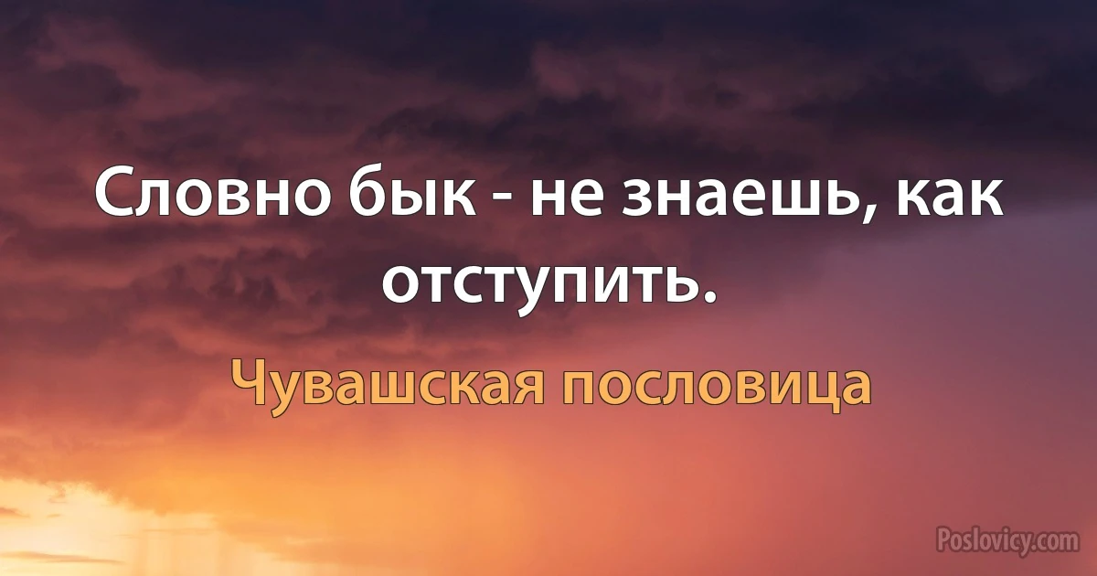 Словно бык - не знаешь, как отступить. (Чувашская пословица)