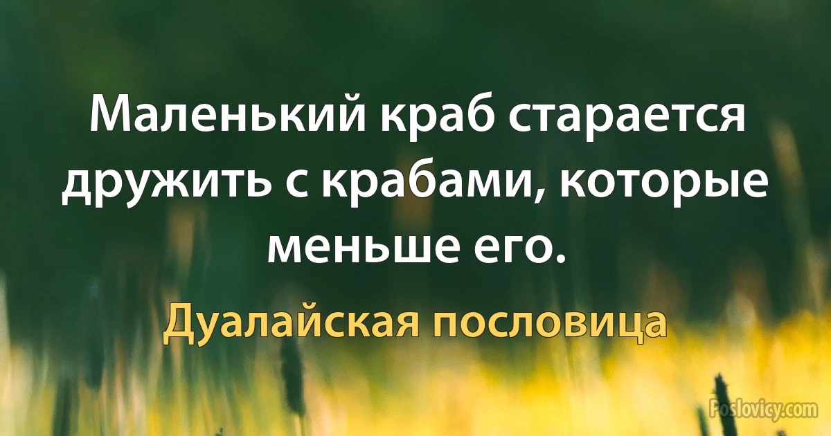 Маленький краб старается дружить с крабами, которые меньше его. (Дуалайская пословица)