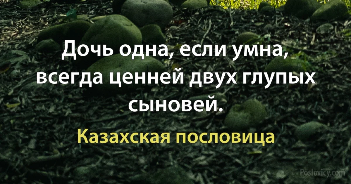 Дочь одна, если умна, всегда ценней двух глупых сыновей. (Казахская пословица)