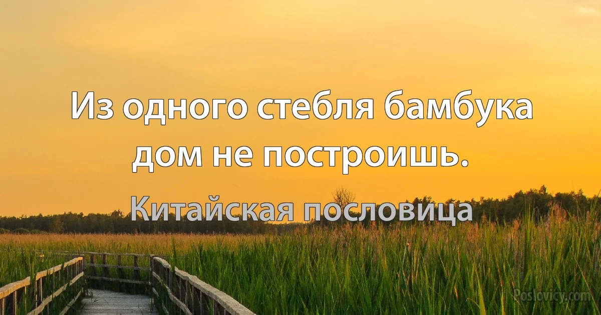 Из одного стебля бамбука дом не построишь. (Китайская пословица)