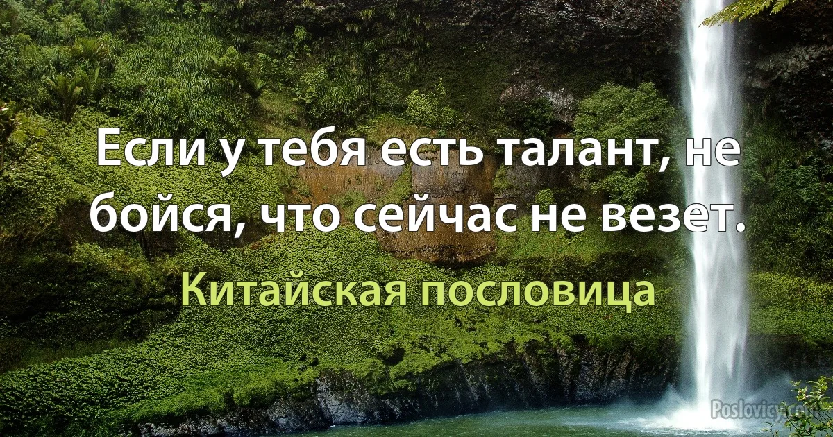 Если у тебя есть талант, не бойся, что сейчас не везет. (Китайская пословица)