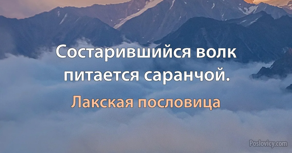 Состарившийся волк питается саранчой. (Лакская пословица)