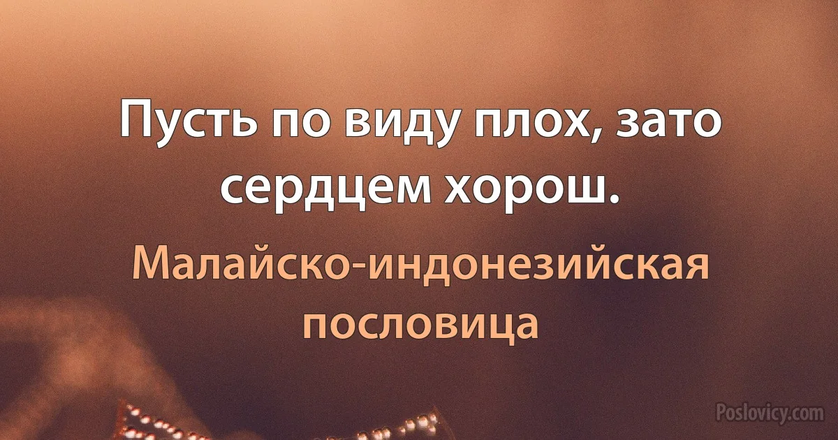 Пусть по виду плох, зато сердцем хорош. (Малайско-индонезийская пословица)