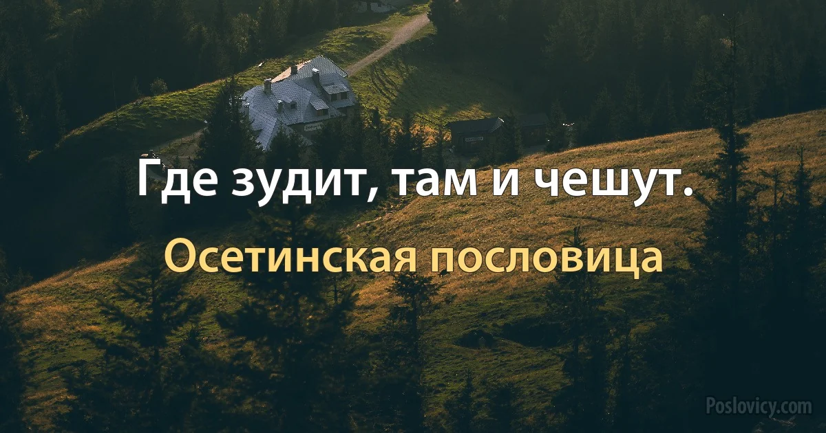 Где зудит, там и чешут. (Осетинская пословица)