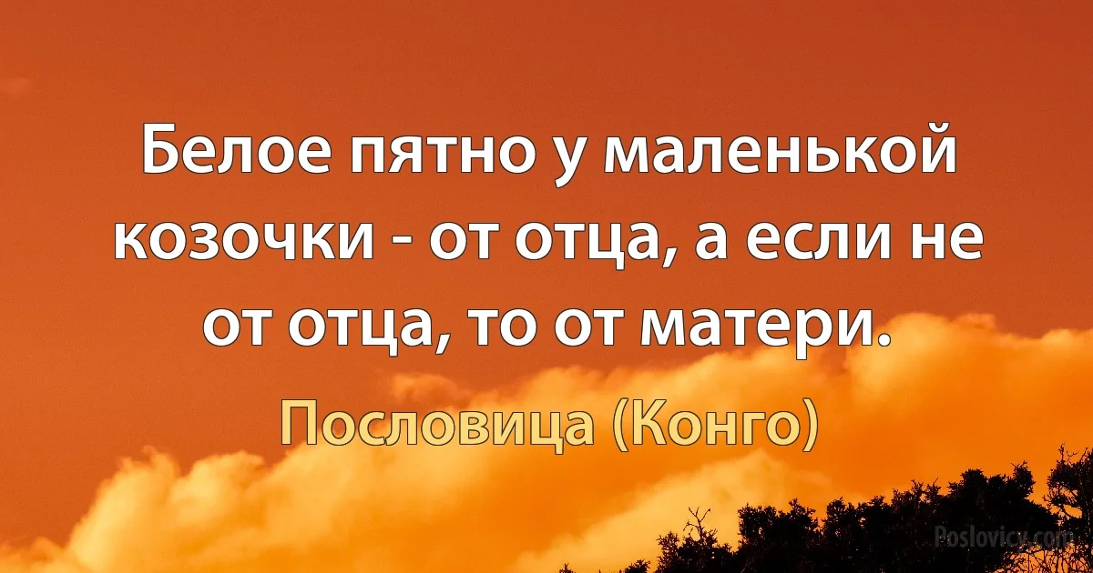 Белое пятно у маленькой козочки - от отца, а если не от отца, то от матери. (Пословица (Конго))