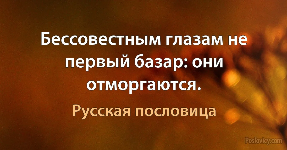 Бессовестным глазам не первый базар: они отморгаются. (Русская пословица)