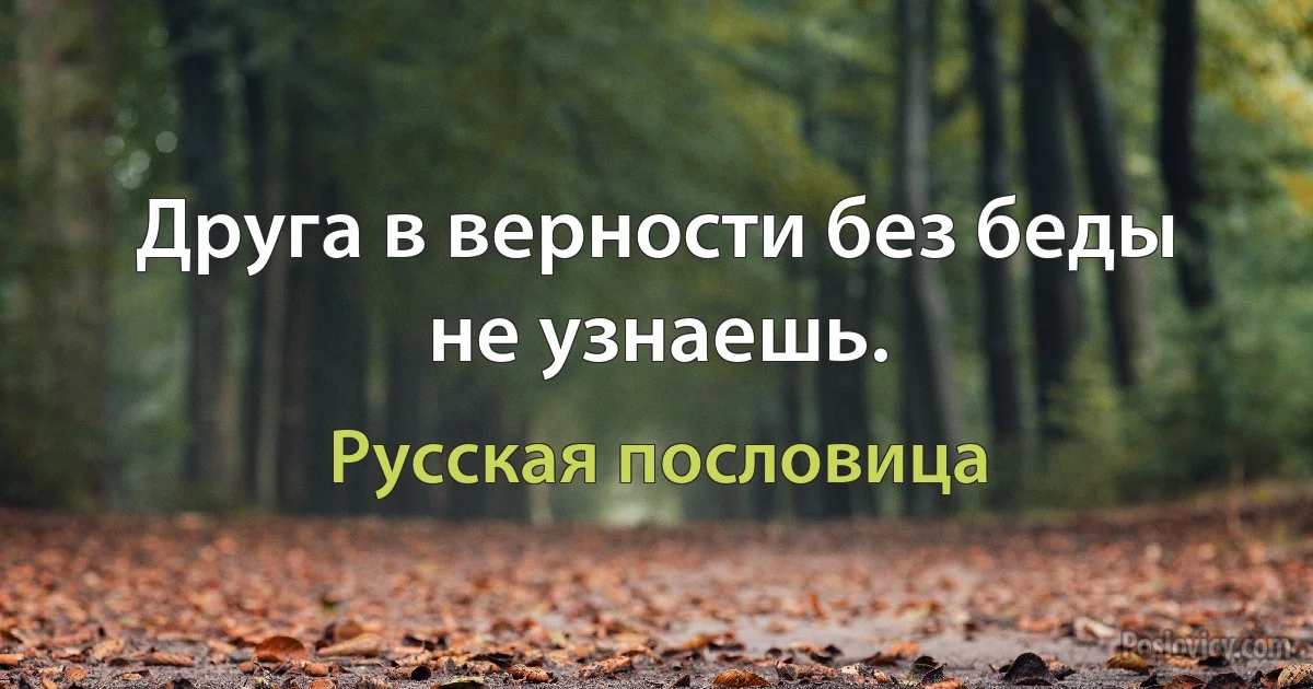 Друга в верности без беды не узнаешь. (Русская пословица)