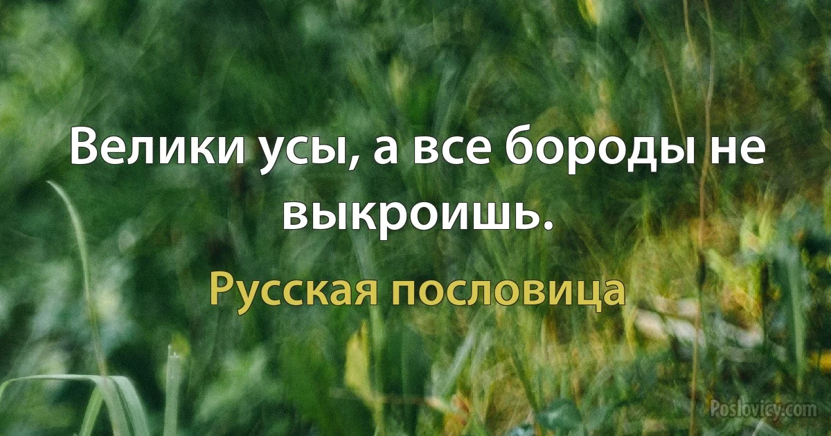 Велики усы, а все бороды не выкроишь. (Русская пословица)