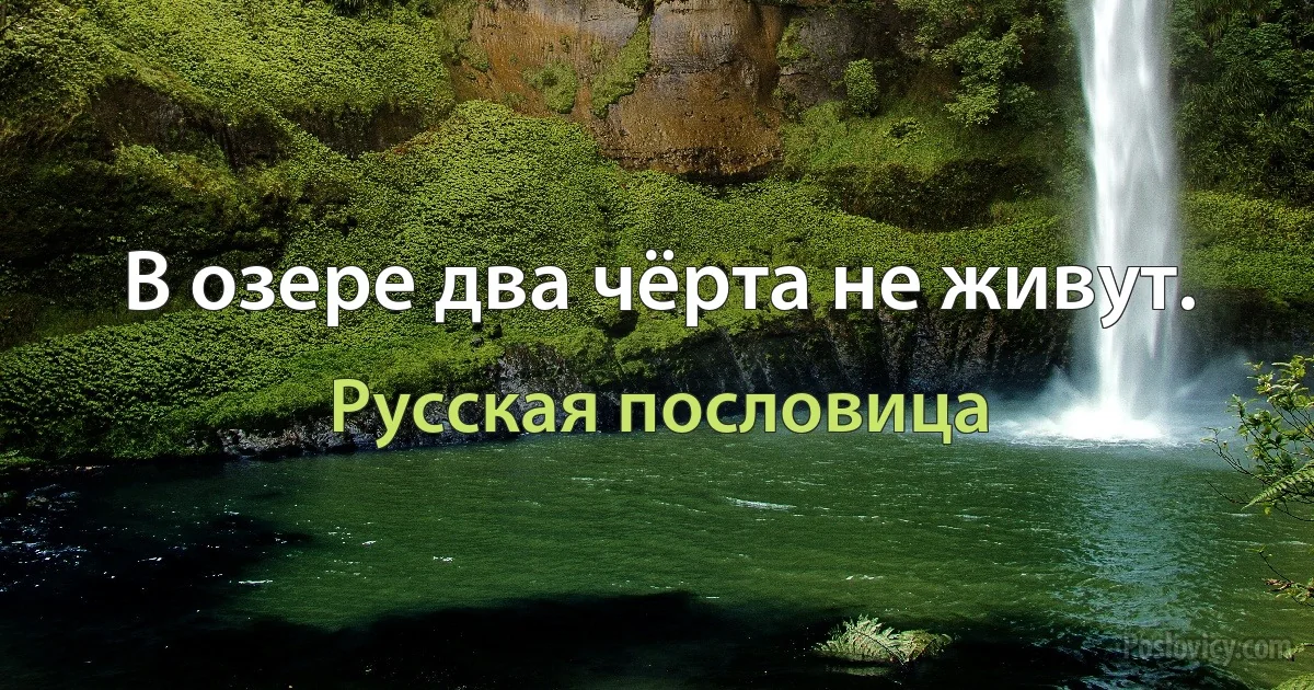 В озере два чёрта не живут. (Русская пословица)