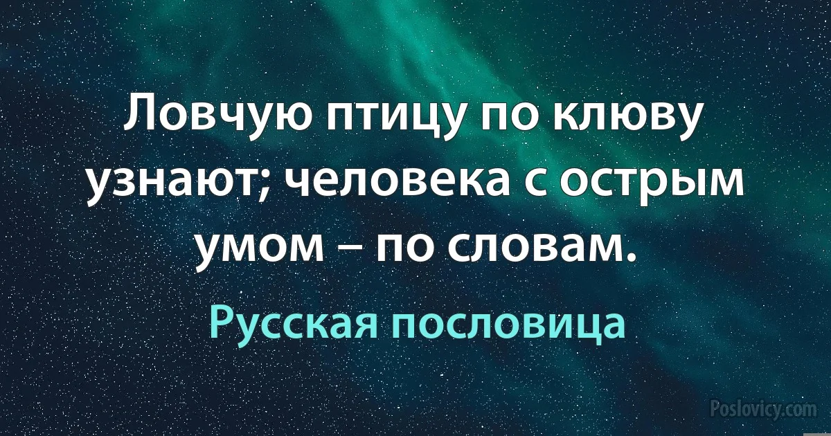 Ловчую птицу по клюву узнают; человека с острым умом – по словам. (Русская пословица)