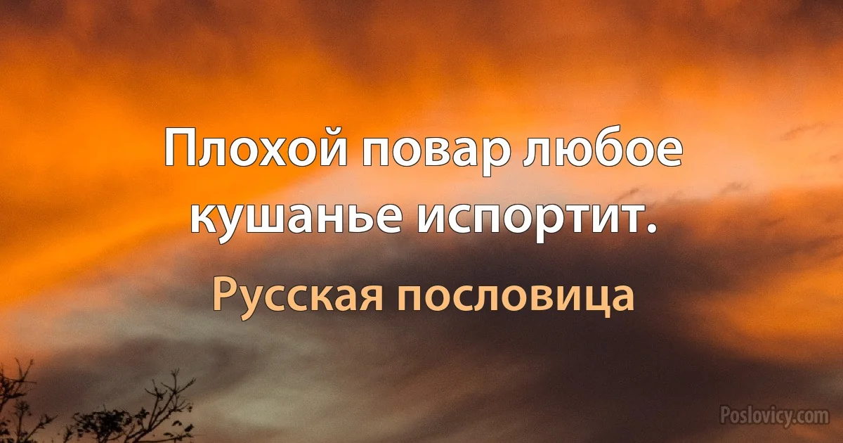 Плохой повар любое кушанье испортит. (Русская пословица)