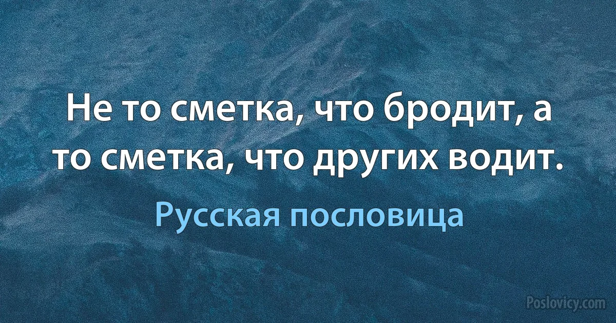 Не то сметка, что бродит, а то сметка, что других водит. (Русская пословица)