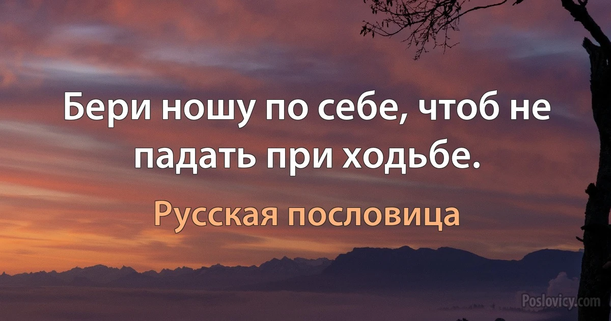 Бери ношу по себе, чтоб не падать при ходьбе. (Русская пословица)