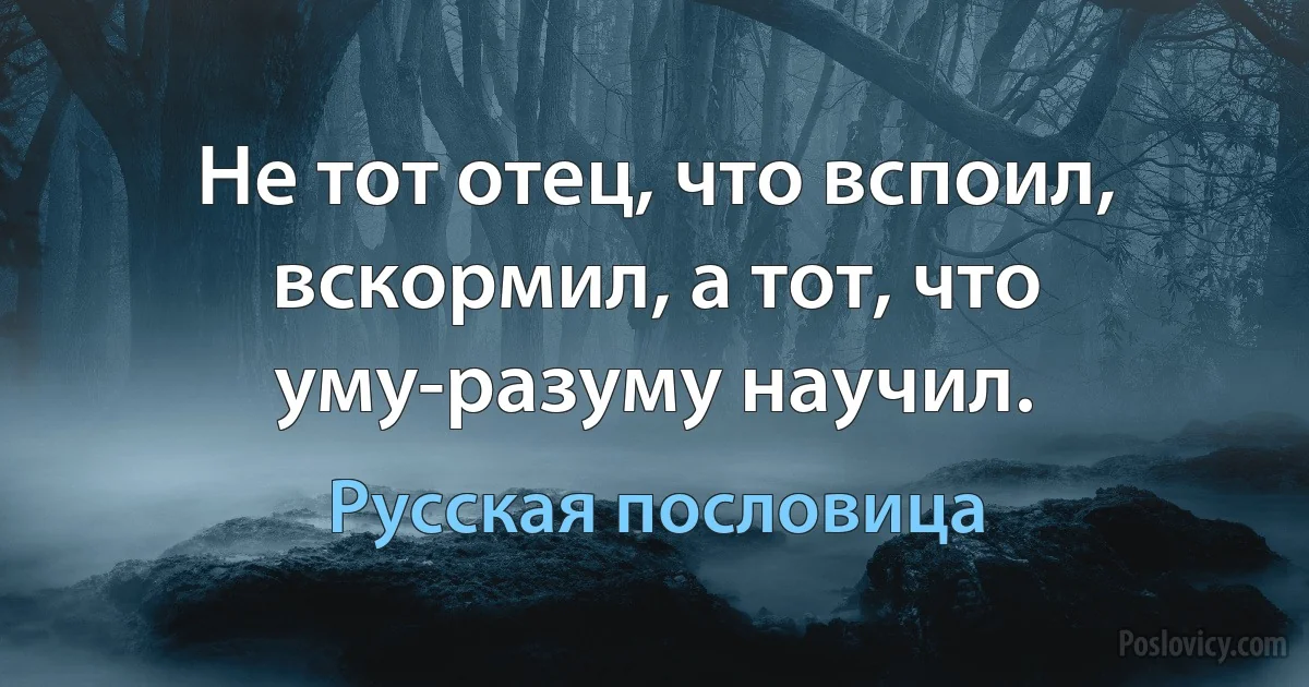 Не тот отец, что вспоил, вскормил, а тот, что уму-разуму научил. (Русская пословица)