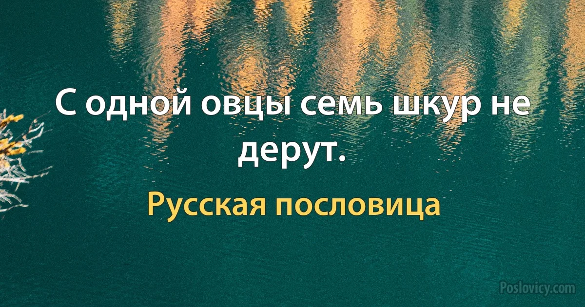 С одной овцы семь шкур не дерут. (Русская пословица)