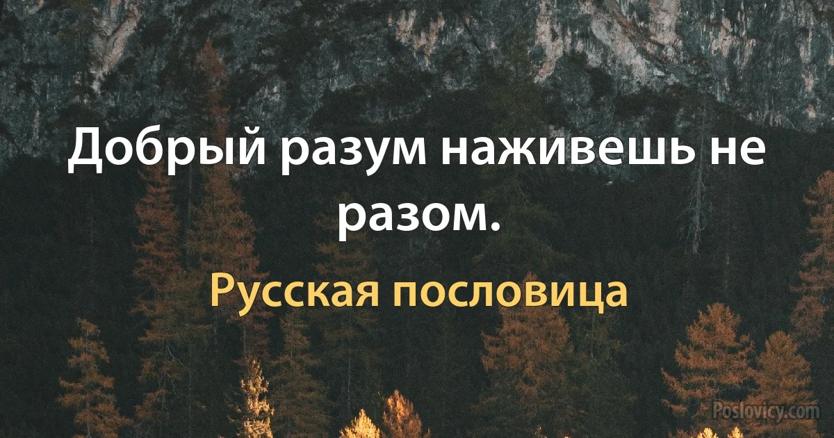 Добрый разум наживешь не разом. (Русская пословица)