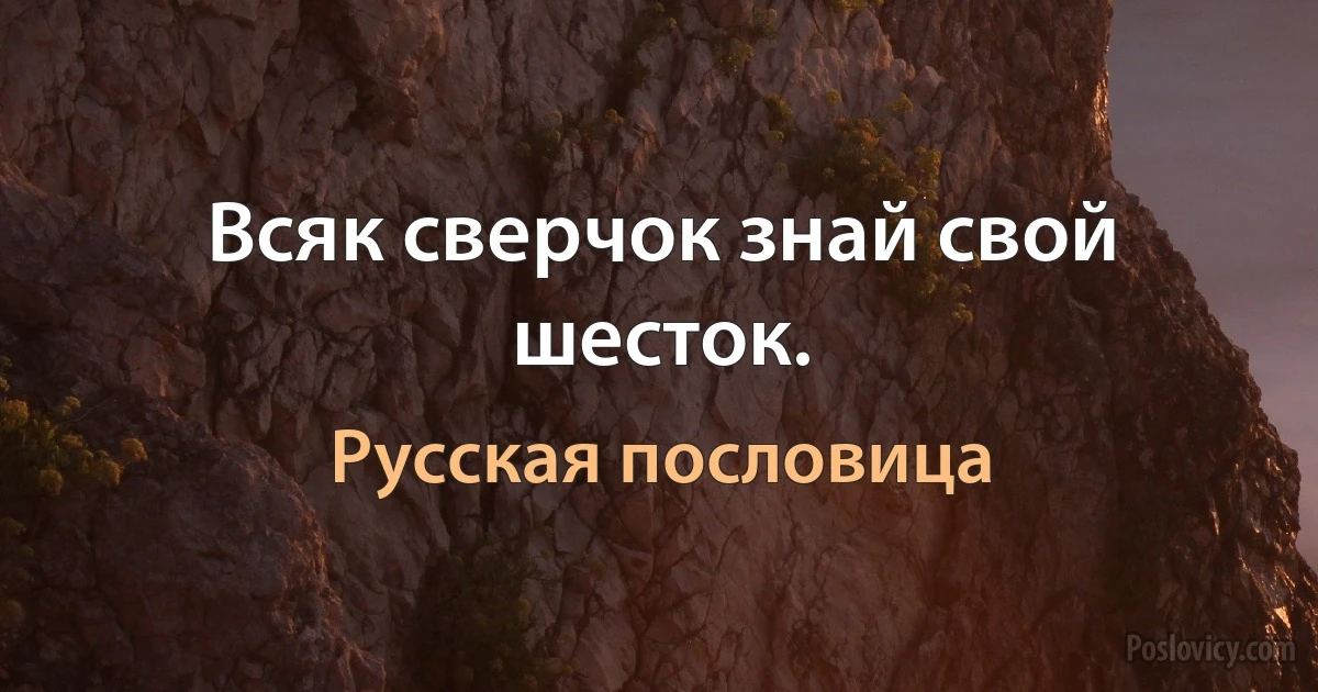 Всяк сверчок знай свой шесток. (Русская пословица)