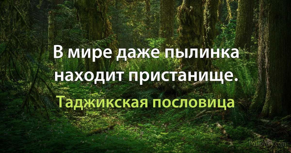 В мире даже пылинка находит пристанище. (Таджикская пословица)