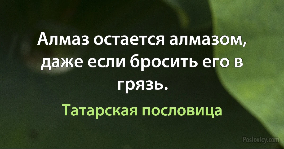 Алмаз остается алмазом, даже если бросить его в грязь. (Татарская пословица)